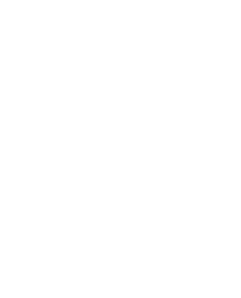 showstream logo white